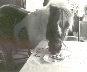Rakkerkerstontbijt