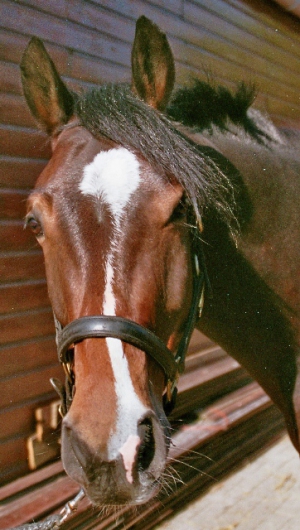 Ramon-2006