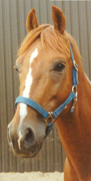 Renoir