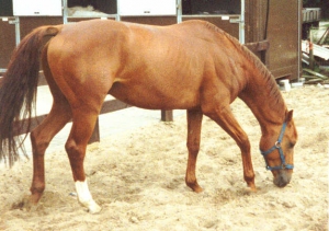 Renoir3