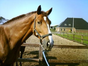 Sam-23-9-07-a