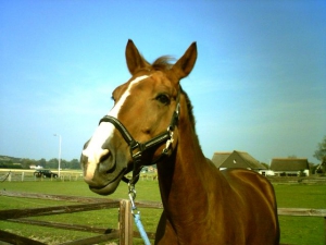Sam-23-9-07-d