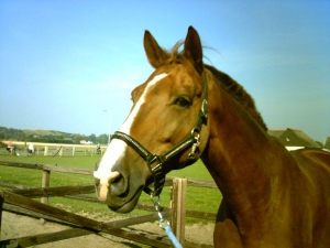 Sam-23-9-07-e