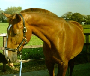 Sam-23-9-07-f