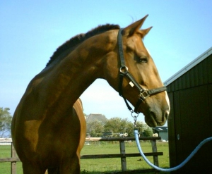 Sam-23-9-07-g