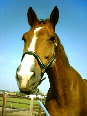 Sam-23-9-07-h