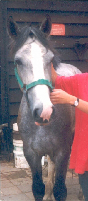 SandokanII