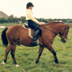 Scot4