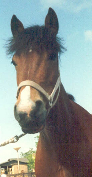 Sheila5
