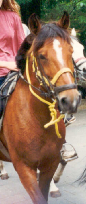 SpencerII2