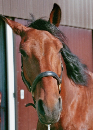 Storm-2006-2
