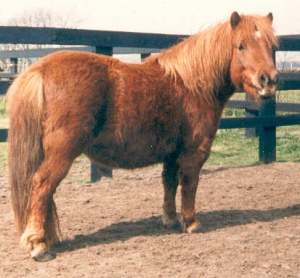 Thelwell
