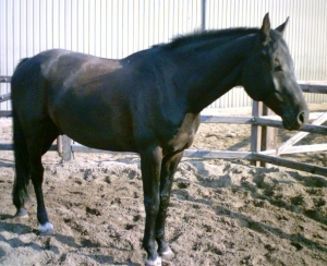 Timo-23-9-07-a