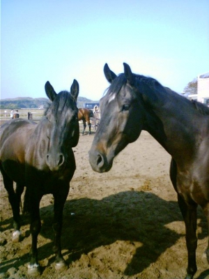 Timo-Kenny-23-9-07-a
