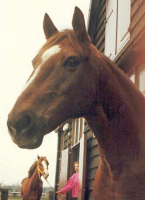 Twiggy I