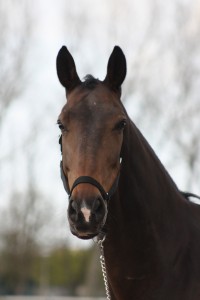 Victor2