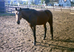 Willempie-23-9-07