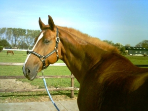 Yvon-23-9-07-a