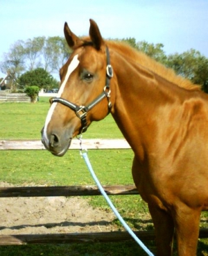 Yvon-23-9-07-b