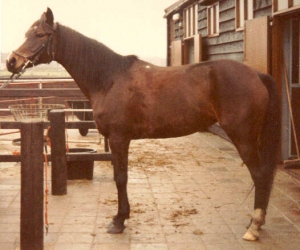 Zoe I