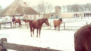 buitenspelen