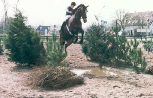 cross 6