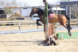 donders