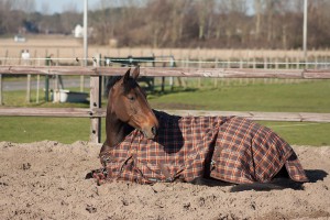 donders123