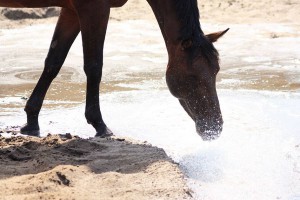 donders2