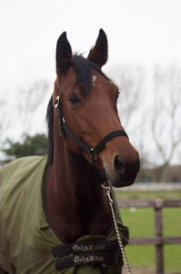 elby