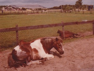 entos