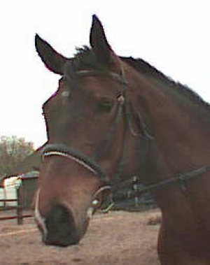 faramir4