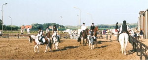 inrijden