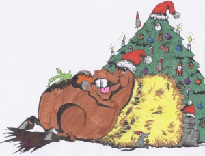 kerstkaart2008