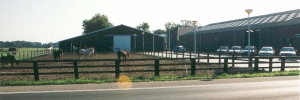 landje2