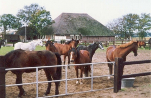 landje3