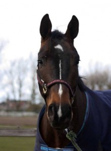 livius