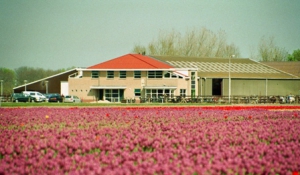 manege-tulpen-2007