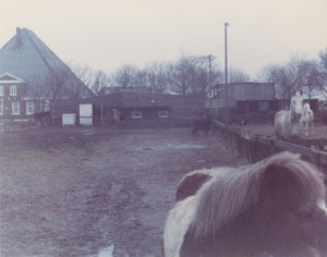 manege1980