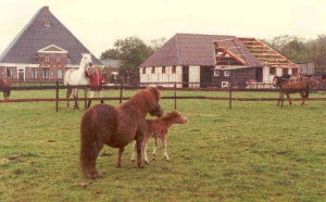 middegrote stal verbouwing2