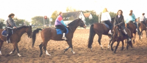 oefenen97 2