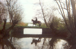 polder-little-arrow