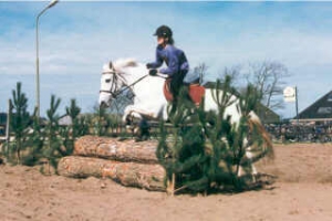 springwedstrijd pony 1
