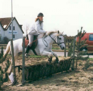 sprinles pony 1