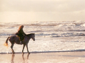 strand2
