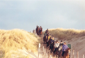 strand3