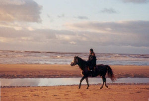 strand4