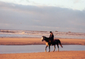 strand5