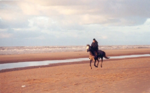 strand6