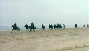 strandrit groep rengalop